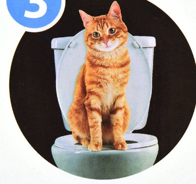 Pet Toilet Trainer for Cats - Image 6