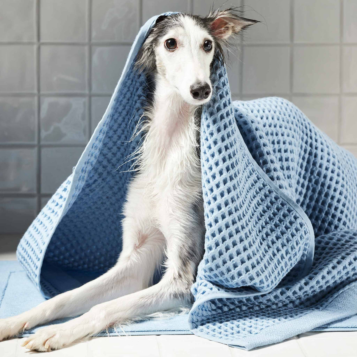 Dreamweave Waffle Bath Towels Set of 2 - Last Call - Image 14