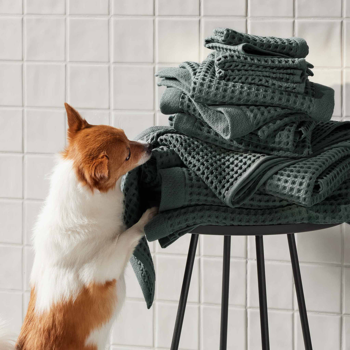 Dreamweave Waffle Washcloths Set of 2 - Last Call - Image 17