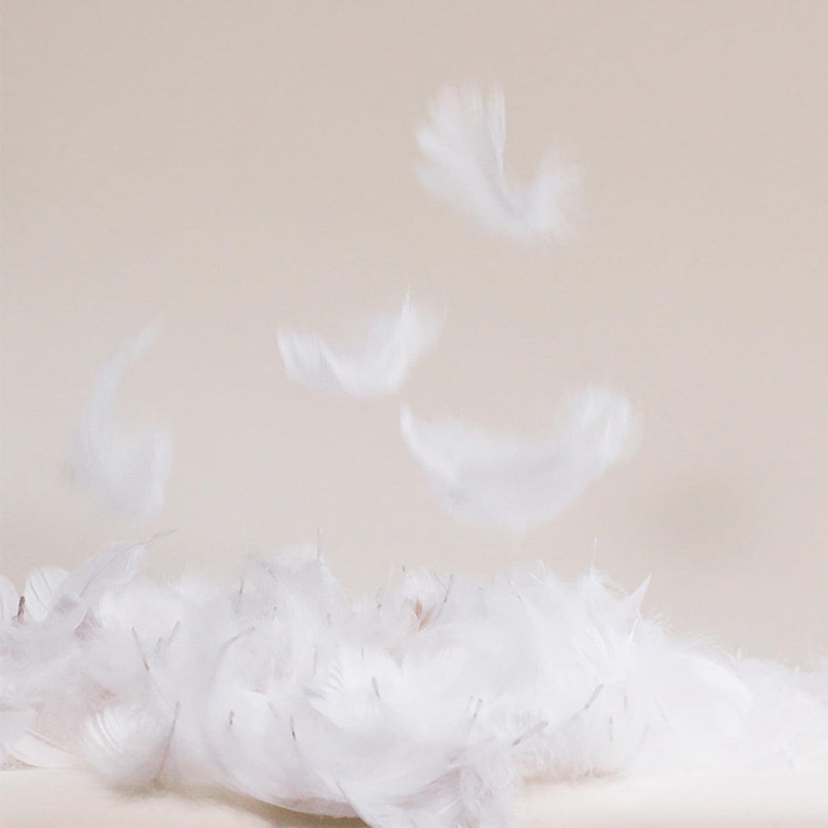 Down Comforter - Image 11