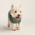 Rover Sherpa Dog Coat S - Light Forest