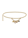 Western Chain Belt - Image 7