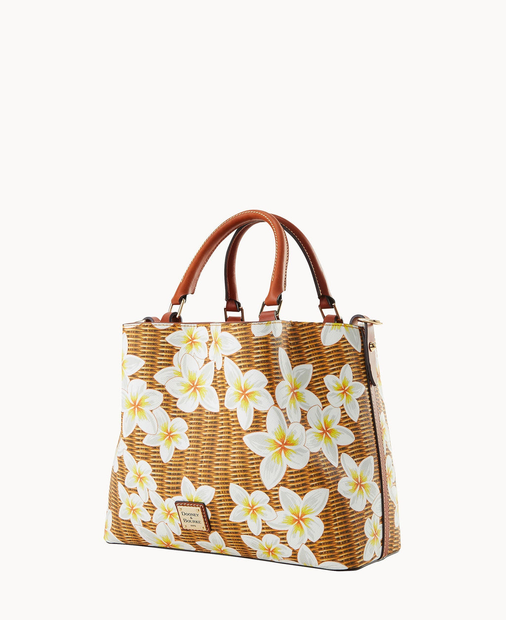 Plumeria Brenna - Image 2