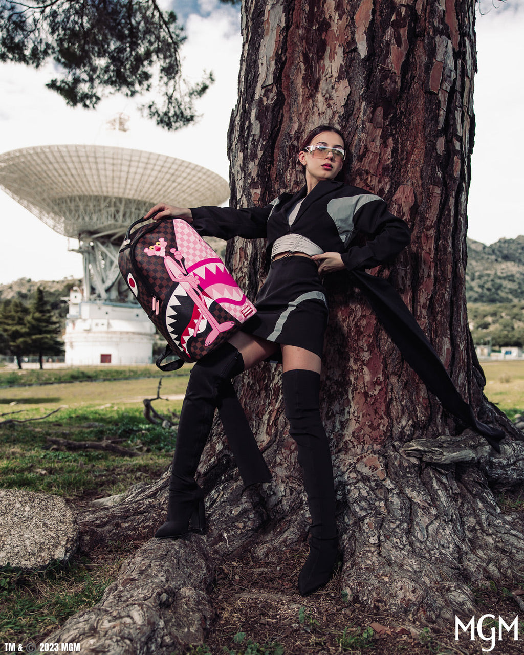 Pink Panther the Reveal Backpack (Dlxv) - Image 2