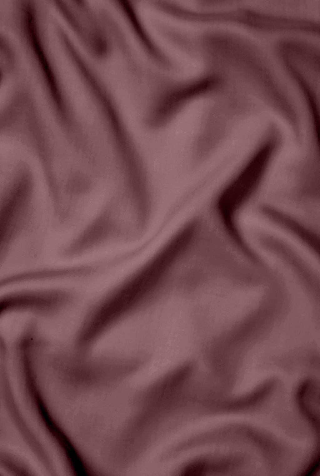 Breeze Shams - Image 52