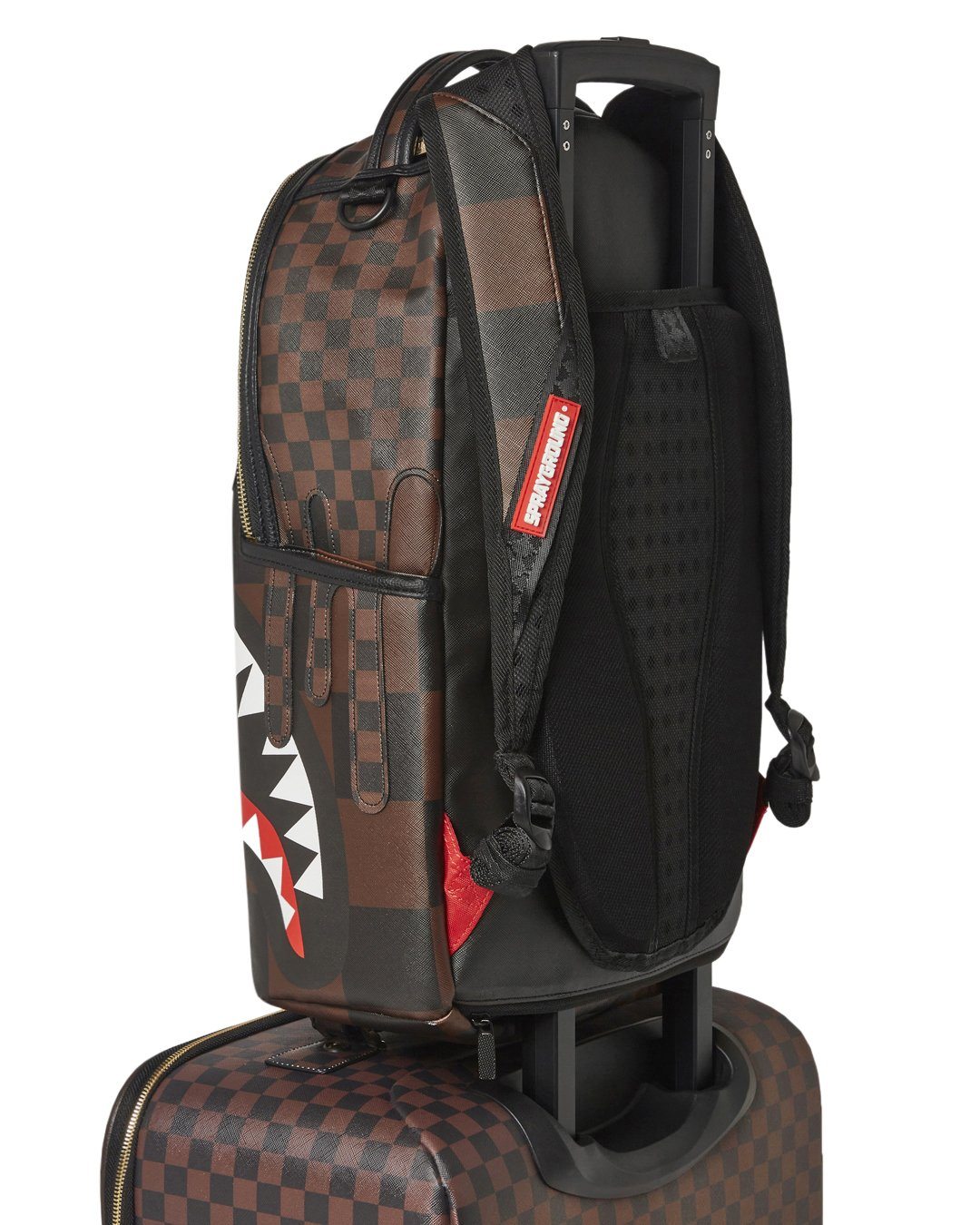 Xtc Sharks in Paris Jetsetter Carry-On Luggage - Image 10