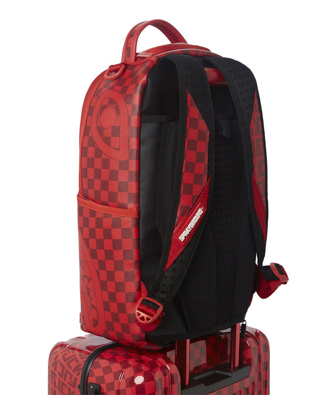Veni Vidi Vici Luggage - Image 14