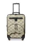 THE GETAWAY JETSETTER CARRY-ON LUGGAGE