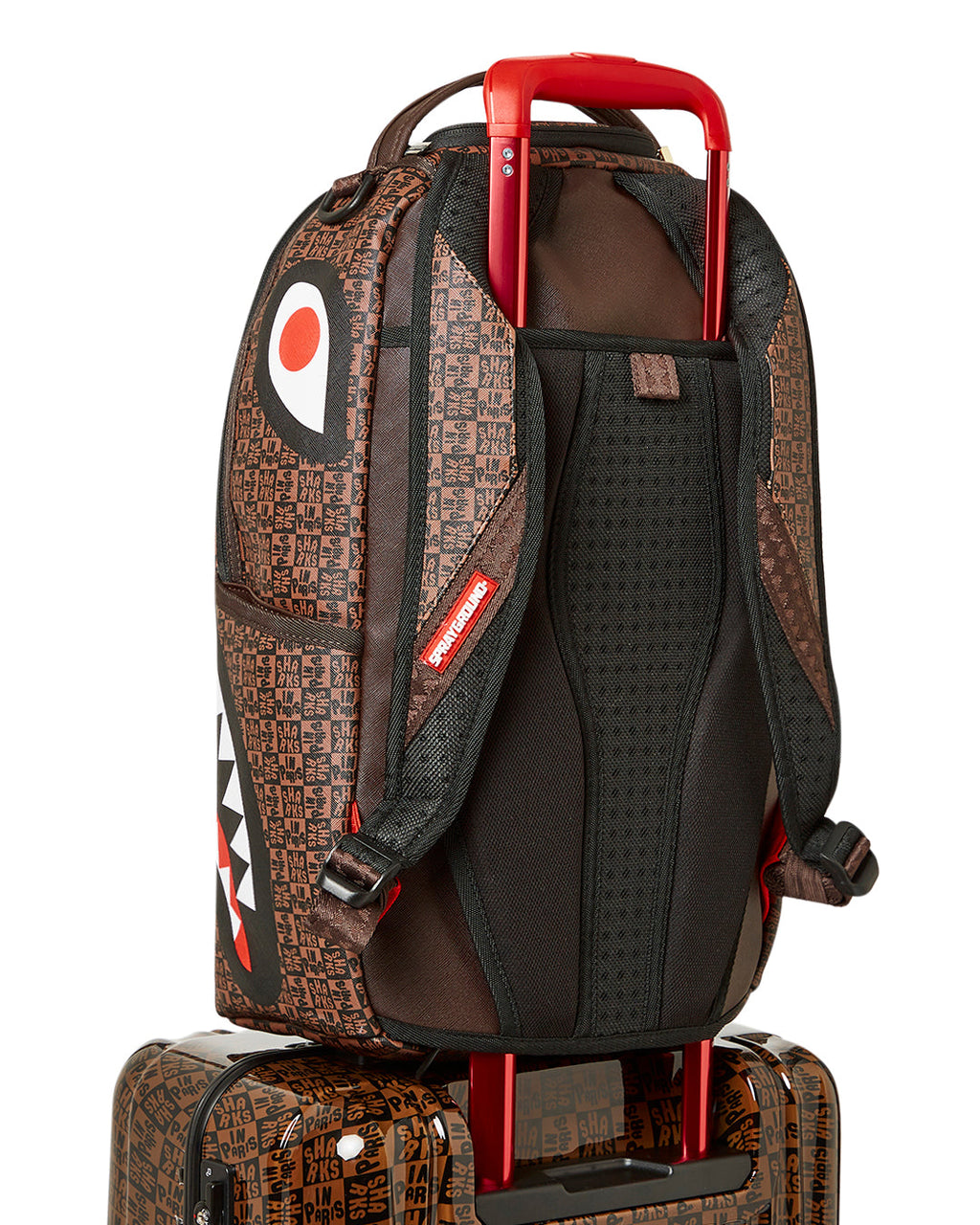 Frenzy Sharks Sharknautics Hardshell Carry-On Luggage - Image 16