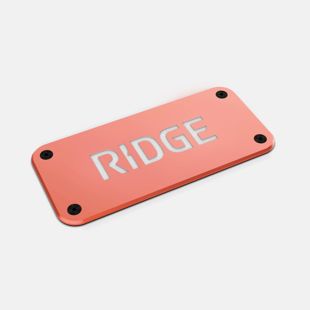 Ridge Logo Plate - Just Peachy - Image 4
