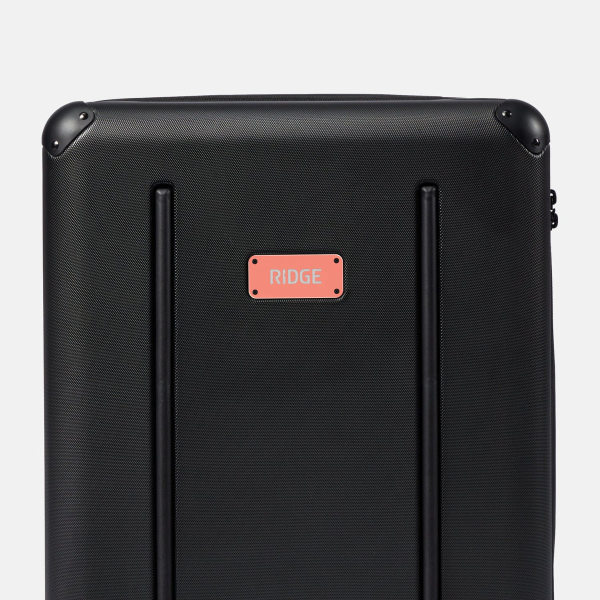 Ridge Logo Plate - Just Peachy - Image 5