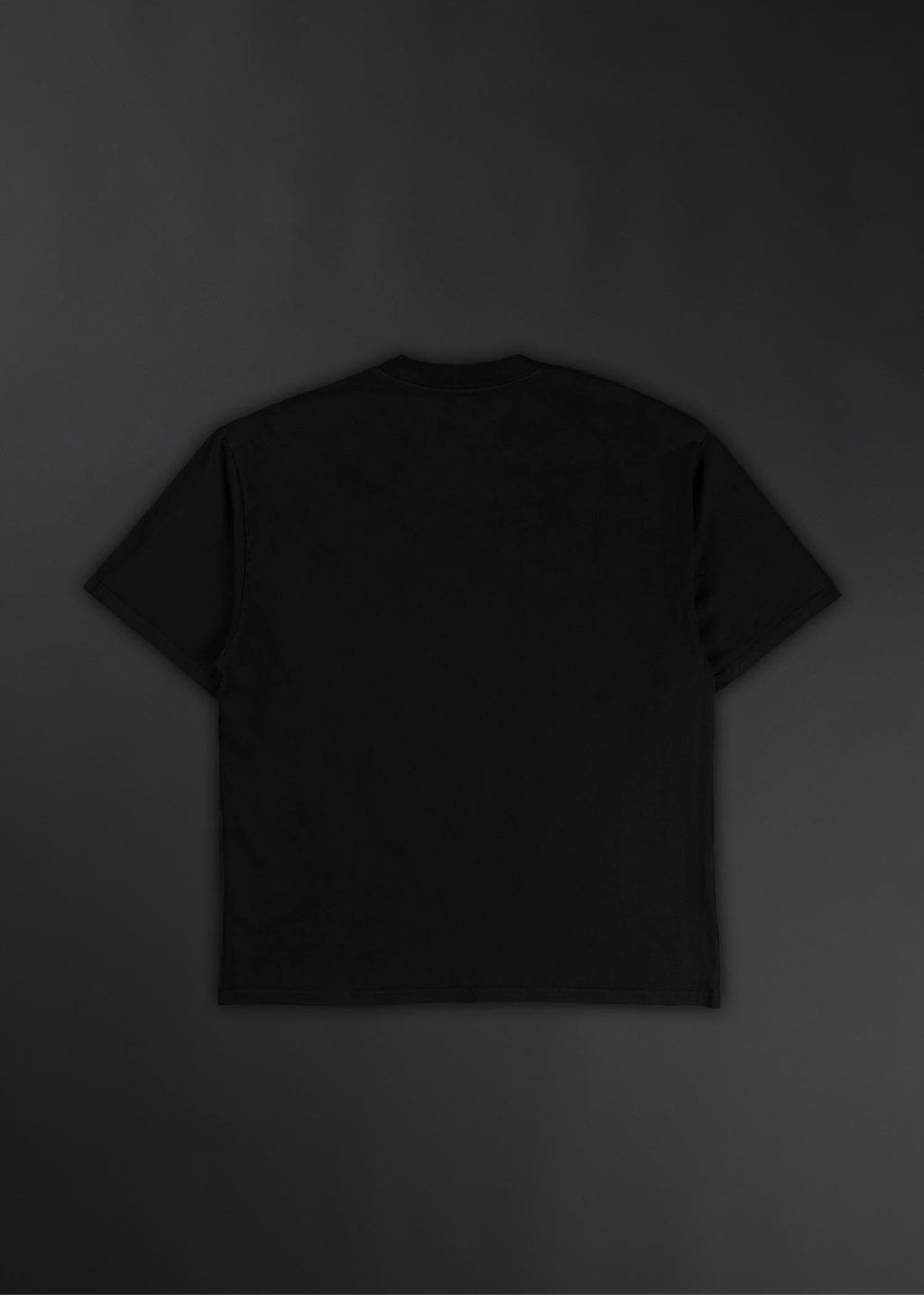 "Fallen" Dante's Inferno Graphic T-Shirt - Image 9