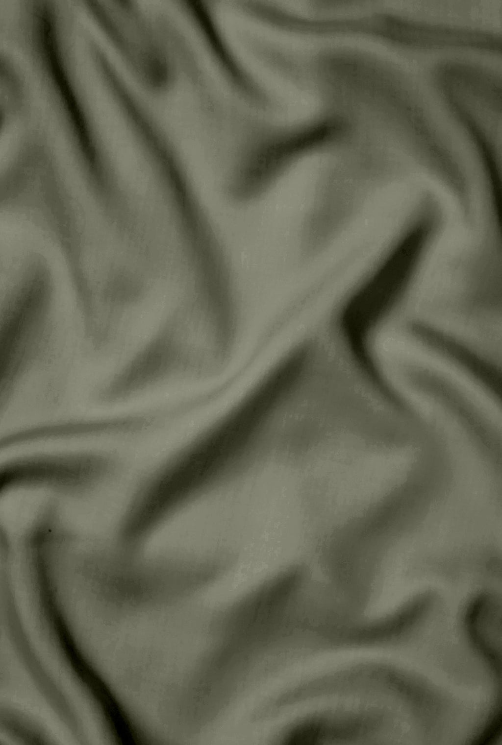 Breeze Shams - Image 44