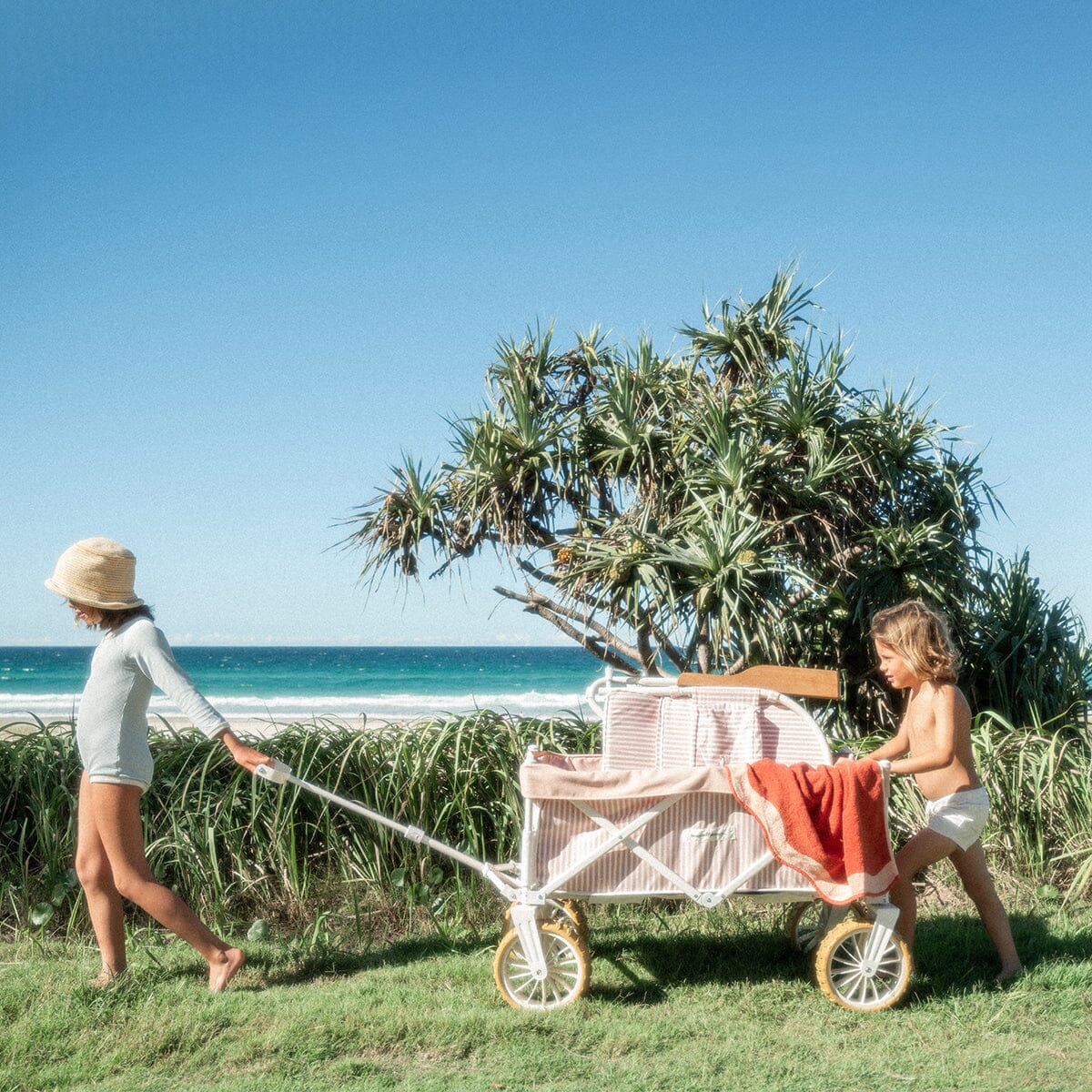 The Beach Cart - Image 2