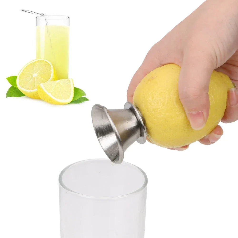 Stainless Steel Hand Juicer