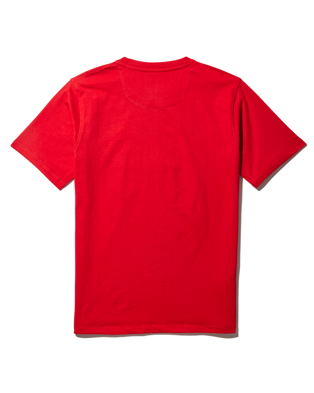 Youth Anatomy Bear T-Shirt Red - Image 4