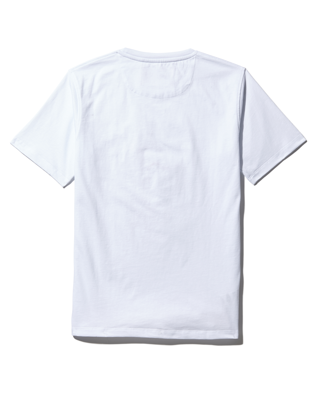 Youth Anatomy Bear T-Shirt White - Image 2