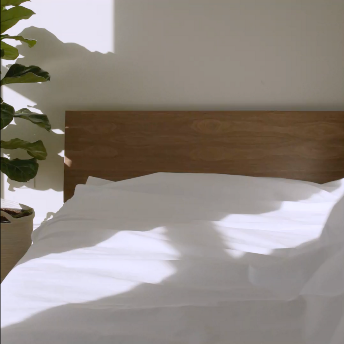 Set of 2 Classic Percale Core Sheet Set Bundle - Image 15