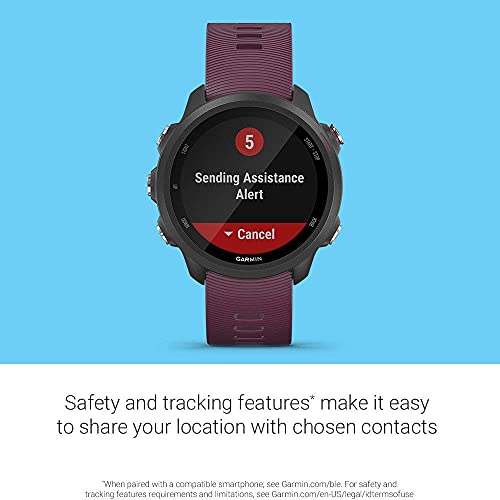Garmin Forerunner 245, GPS Running Smartwatch with Advanced Dynamics, Berry - 010-02120-01 - Image 3