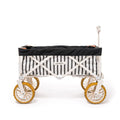 The Beach Cart